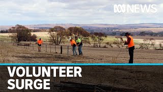 Stranded backpackers help volunteer group rebuild communities ravaged by bushfires | ABC News