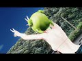 【mmd】『シンデレラ』deco*27　gumiさん【4k 60fps】