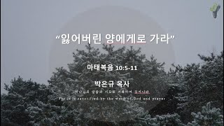 23.02.12  설교(잃어버린 양에게로 가라) / 당일교회 박은규 목사