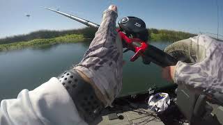 Fishing for multiple species at Sherman Island