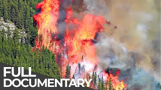 Deadly Disasters: Wildfires | World's Most Dangerous Natural Disasters | Free Documentary