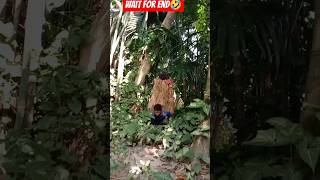 দুষ্ট বনমানুষ। # #funny #shorts #shortsfeed #youtube #trending #bangladesh 🤣🤣