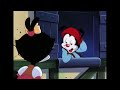 animaniacs the warners forget their lines 😱 classic cartoon wb kids