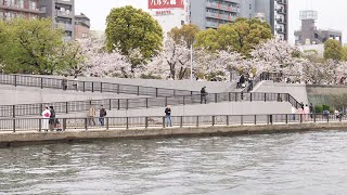 8K/30p 2024/04/06 東京クルーズ 日の出桟橋～浅草(Tokyo Cruise from Hinode Pier to Asakusa)#3