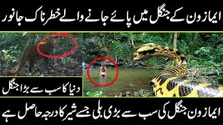 amazing and uncovered facts about world largest amazon jungles and biggest animals | Urdu cover