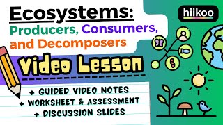 Ecosystems & Food Webs for Kids! (Producers, Consumers, Decomposers) 5-LS2-1 🌱🪱🦅