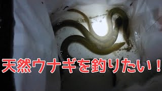 【浜松産のウナギ】を釣りに行く！！