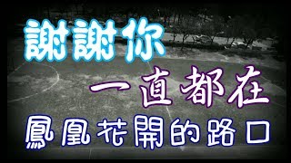 桂林國小第35屆畢業歌曲MV 鳳凰花開的路口