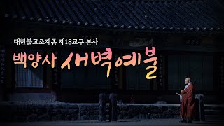 [예불 소리로 고요하게 시작하는 하루] '새벽녘 목탁 소리에 해묵은 '나'를 보낸다' - 천년고찰 백양사 새벽예불