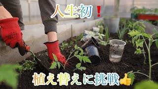 人生初の植え替えに挑戦❗️❗️❗️