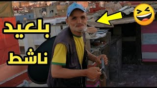 تألق بلعيد ب 8 حمامات من العيون 🔥🐫 + الحمامة البطلة Acepigeon 2🏆+ تزاوج الحمام 😍