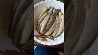 ត្រីឆ្លូញ #fish #dogfood