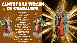 Canciones A La Virgen De Guadalupe🌹💐 La Virgen de Guadalupe🙏Los Berrenditos Cantos y Alabanzas