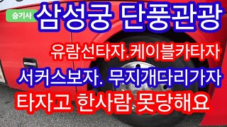 관광버스 당일코스 이리저리 승기사는 돌아올때는 광주시내는 아니되옵니다