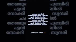 ചക്കര ചുണ്ടിൽ | chakkara chundil lyrics #ചക്കരചുണ്ടിൽ #kollamshafi #youtube #shorts |malaylam songs