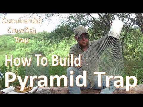 Pyramid Trap -How to Build and Set- Pyramid Trap -How to Build and Set-