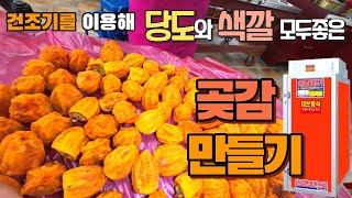 Korean Winter Snacks