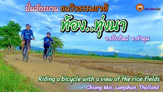 ปั่นชมวิวท้องทุ่งนายามเย็น I Riding to see the view of the rice fields in the evening.I