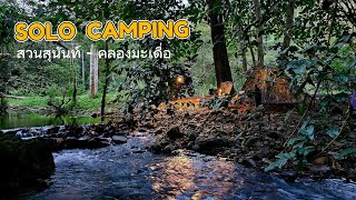 SOLO CAMPING / สวนสุนันท์ / คลองมะเดื่อ / นครนายก