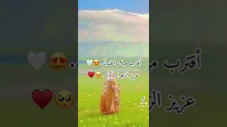 ١ آذار ٢٠٢٣