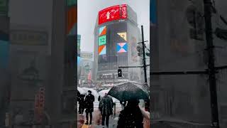 Snow in shibuya / 渋谷の雪 #tokyosnow #snow #東京雪 #雪 #shorts