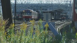 京急線「Le Ciel」1895‐4！83H特急青砥行き1040とエアポート急行羽田空港行き1468＋「Le Ciel」1894-4 、15普通品川行き1536が走行！【令和4年11月27日日曜日】