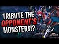 Lair of Darkness Deck List + Replays - Yu-Gi-Oh! Master Duel