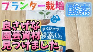 2025年1月14日 プランター栽培【良さげな園芸資材見つけました】