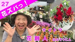 ケイトウ品種紹介ギャザリングのコツ【花ズバっ！】27旬の花と寄せ植えの使い方紹介／花創人ガーデニング教室