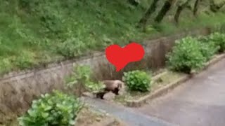 和歌山県植物公園 緑花センター 根来寺 大門