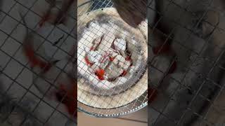 [Shichirin] Charcoal-grilled mustard cod roe is too good! #seafood #asmr #food terrorism