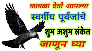 कावळा देतो आपल्या स्वर्गीय पूर्वजांचे शुभ अशुभ संकेत , जाणून घ्या ! Marathi vastu shastra kavla tips