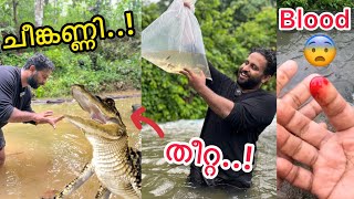 നമ്മുടെ കുളത്തിൽ ചീങ്കണ്ണി..!!😱 ഇവൻ ജീവനുള്ള മീനുകളെ തിന്നൊള്ളൂ..