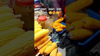 ଗରମ୍ ଗରମ୍ ସିଝା ମକା 🤤 #Sijhamaka #sweetcorn #boiled #food  #shorts #youtubeshorts @Mb_Foodies