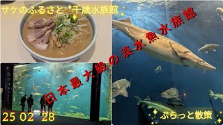 日本最大級の淡水魚水族館!!ぶらっと散策#散策 #淡水魚 #水族館