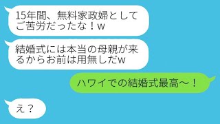 15年間家族を支えてきた妻を家政婦のように扱い、連れ子の結婚式当日に捨てた夫。その後、最愛の家族に裏切られた妻の壮絶な反撃が始まる。