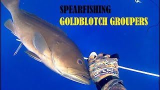 Στα Θαλάμια Της Στήρας - Spearfishing Goldblotch Grouppers Ιn Greece