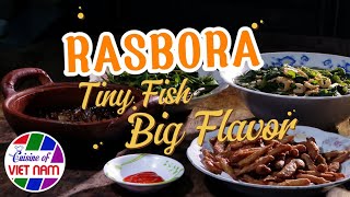 Rasbora: Tiny Fish, Big Flavor (Translated by AI) | Cuisine of Viet Nam