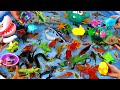 Collection of Cute Animals, Crocodile, Shark, Catfish, Unicorn Goldfish, Carp, Crab, Snake, Starfish