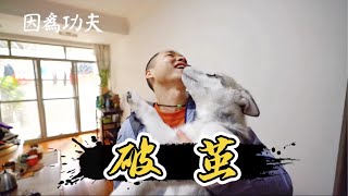 【因为功夫  纪录片】 咏春，涅槃重生！（中）