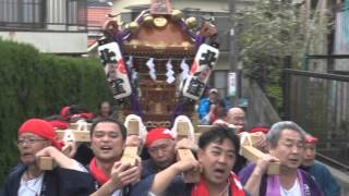 平成28年　小田原＜北ノ窪天神社＞例大祭・神輿町内渡御