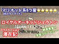 ロイヤルオーキッドシェラトン滞在記〜マリオット系列の5つ星ホテル 全室リバービューで絶景を堪能！