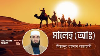 সালেহ (আ:) এর জীবনী এবং আমাদের শিক্ষা | Life of Prophet Saleh (Pbuh) | মিজানুর রহমান আজহারি