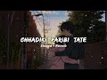 chhadiki paribi tate odia slowed reverb lofi song satyajit lopamudra