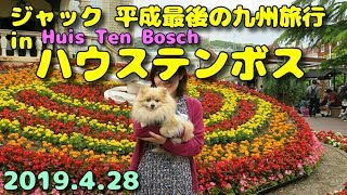 ポメラニアン・ジャック in ハウステンボス　平成最後の九州旅行　Jack in Huis Ten Bosch