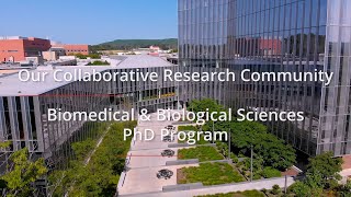 Biomedical & Biological Sciences (BBS) PhD Program at #CornellVet