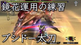 【MHXX】鏡花運用の練習 ブシドー太刀 ソロ：G級 獰猛化ディノバルド 【アラフィフから始めるハンターライフ #65】