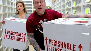 UNBOXING 107 SNAKES!! | BRIAN BARCZYK