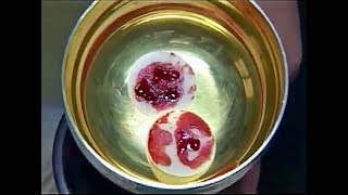 Bloody Hosts and Tempting a Donkey: 6 Incredible Eucharistic Miracles | Cathlist # 23