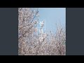 Spring Breeze (Feat. 이현주 Lee Hyun Ju)